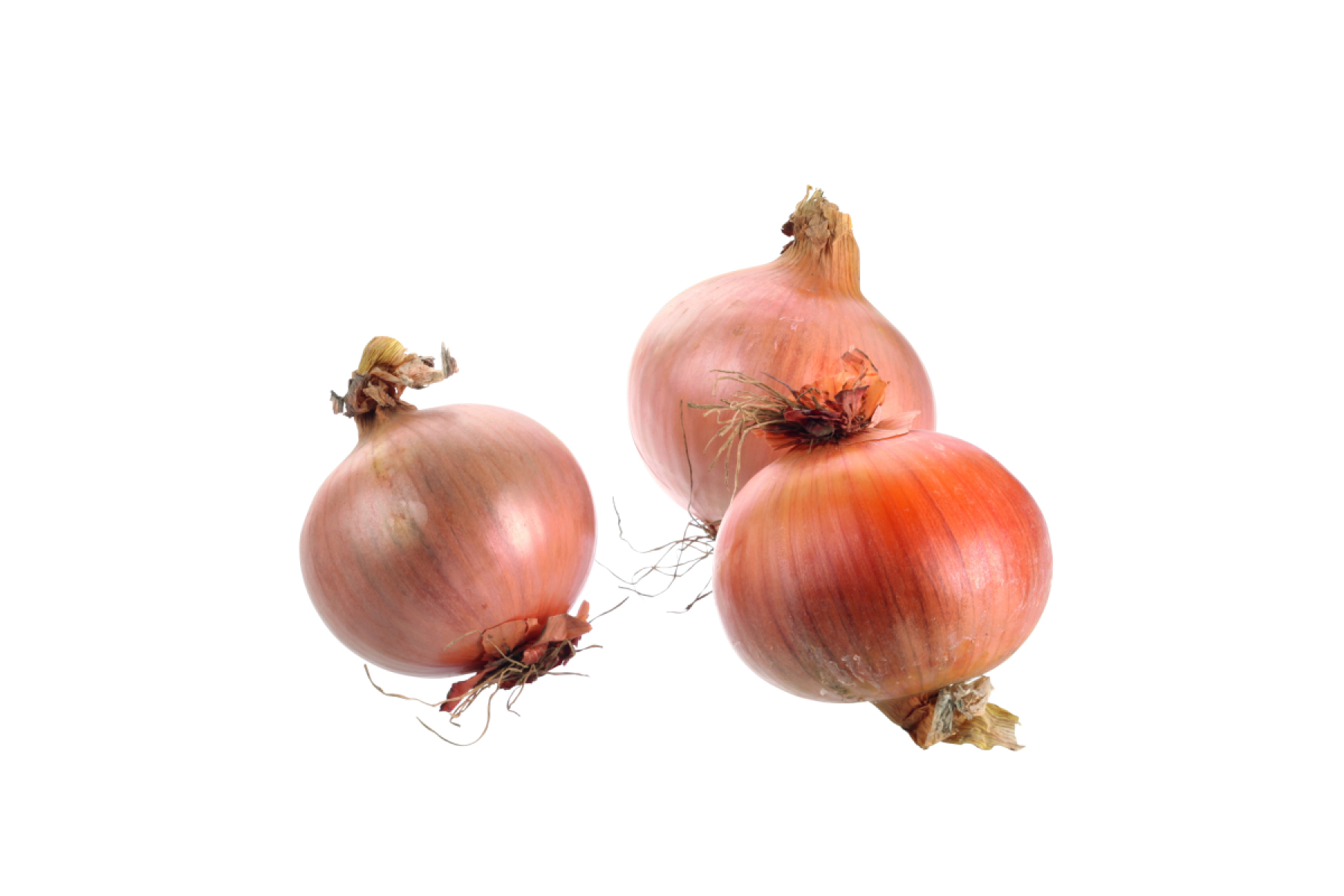 Gemüsezwiebel mild DEUTSCHLAND