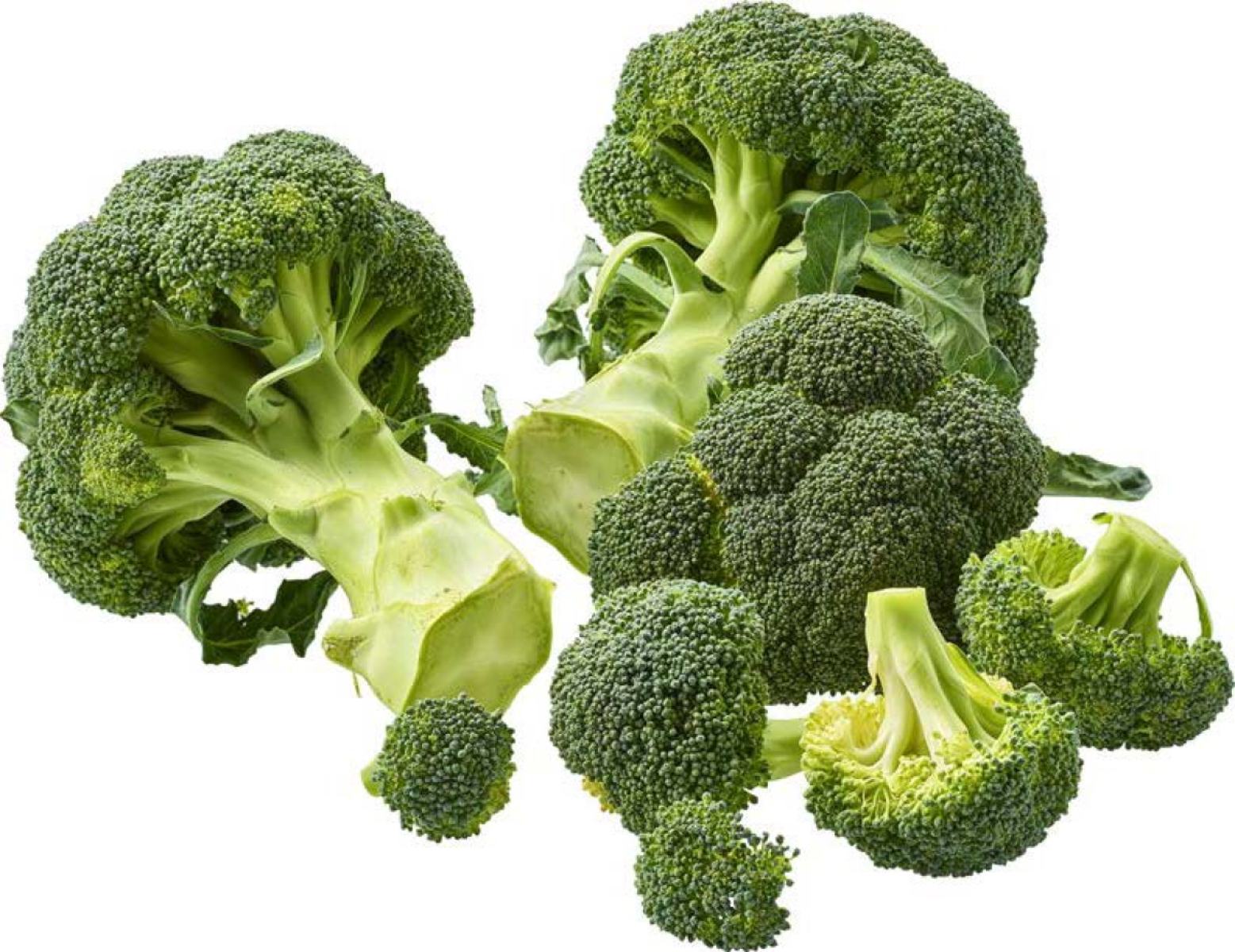 Broccoli DEUTSCHLAND