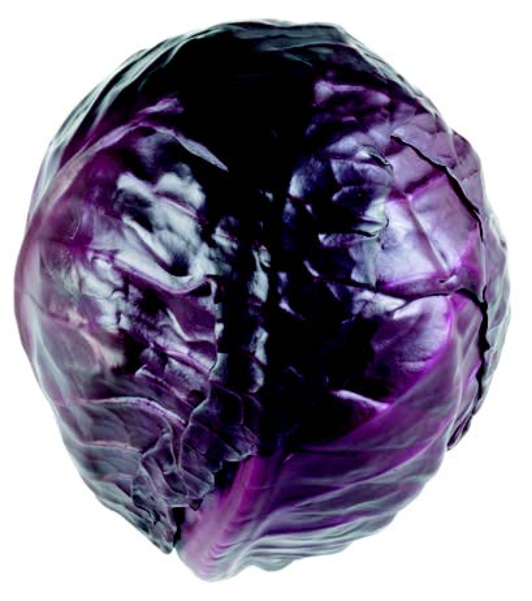 Rotkohl DEUTSCHLAND