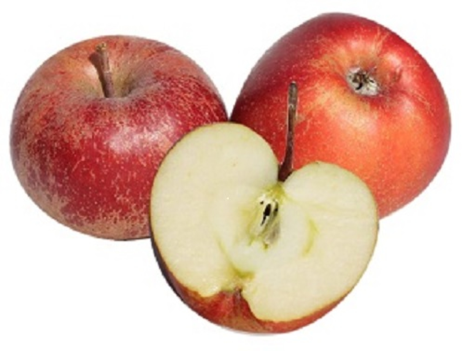 Apfel Boskoop DEUTSCHLAND