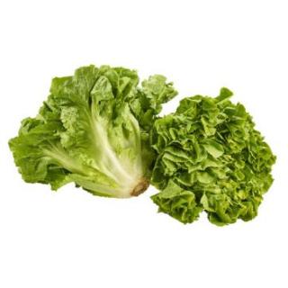 Endiviensalat DEUTSCHLAND DEMETER