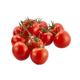 Strauchtomate DEUTSCHLAND