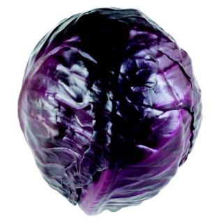 Rotkohl DEUTSCHLAND