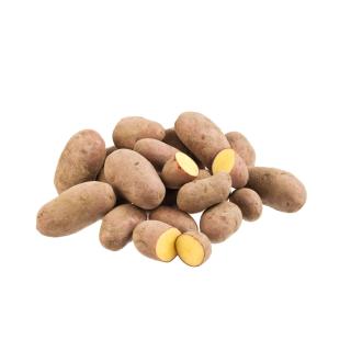 Kartoffel rot, vfk 2kg Tüte