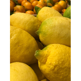 Bio-Zitronen Kiste 6 kg