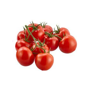 Strauchtomate DEUTSCHLAND