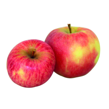 Apfel Elstar DEUTSCHLAND