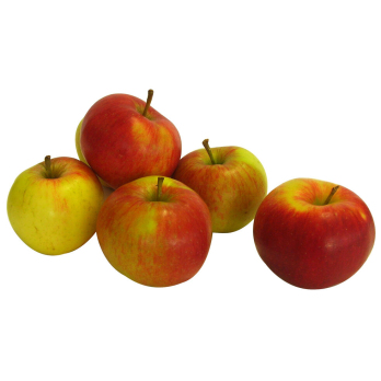 Apfel Santana Deutschland