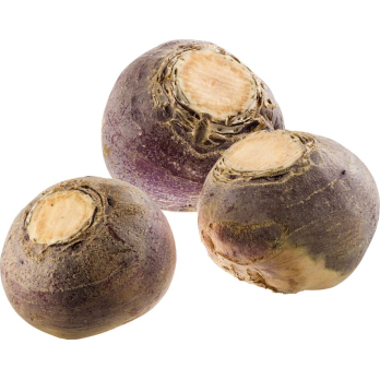 Steckrüben Deutschland