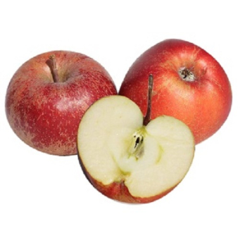 Apfel Boskoop DEUTSCHLAND