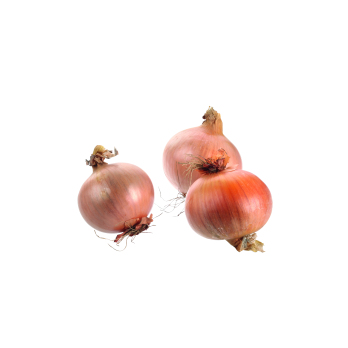 Gemüsezwiebel mild DEUTSCHLAND